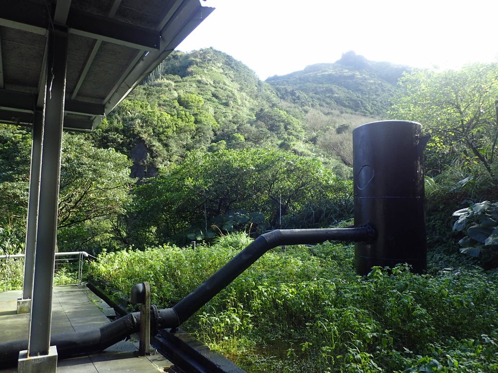 P1102205.JPG - 本山五坑  黃金神社