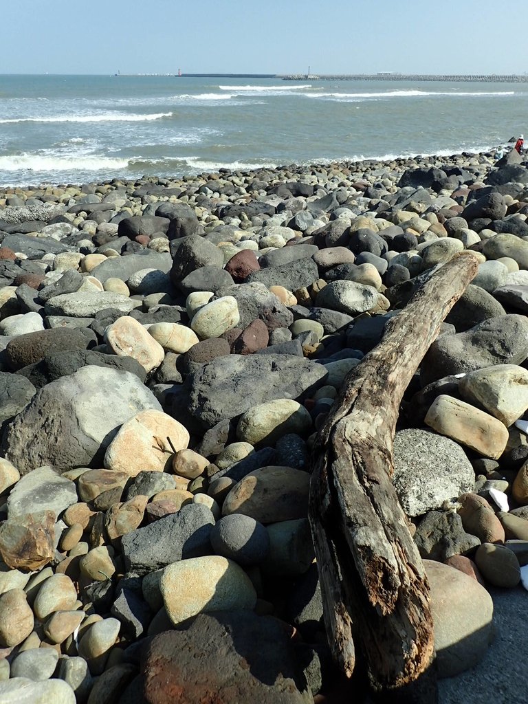 P9308726.JPG - 林口  南灣頭海濱步道