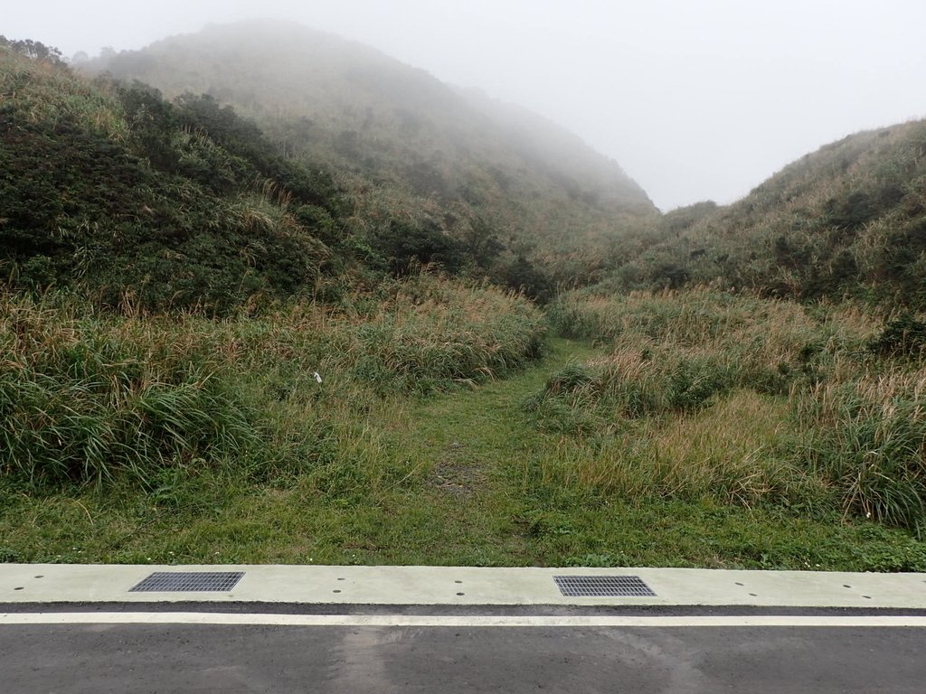 P1203576.JPG - 瑞芳  牡丹山