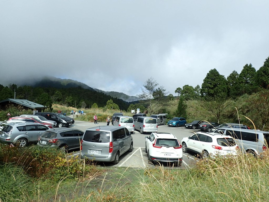 PB265371.JPG - 太平山  翠峰湖環山步道  02