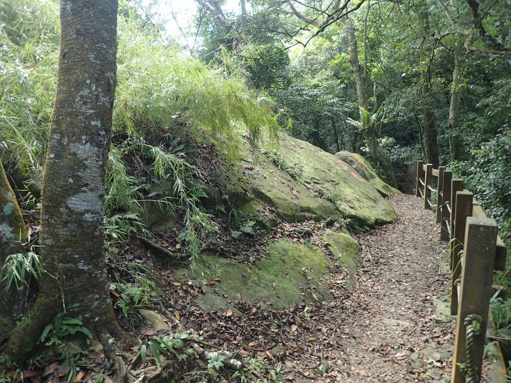 PA064401.JPG - 大湖  馬那邦山  (02)