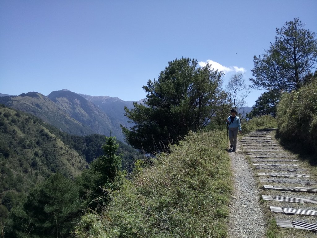 DSC_1706.JPG - 鹿林山  麟趾山步道  (02)