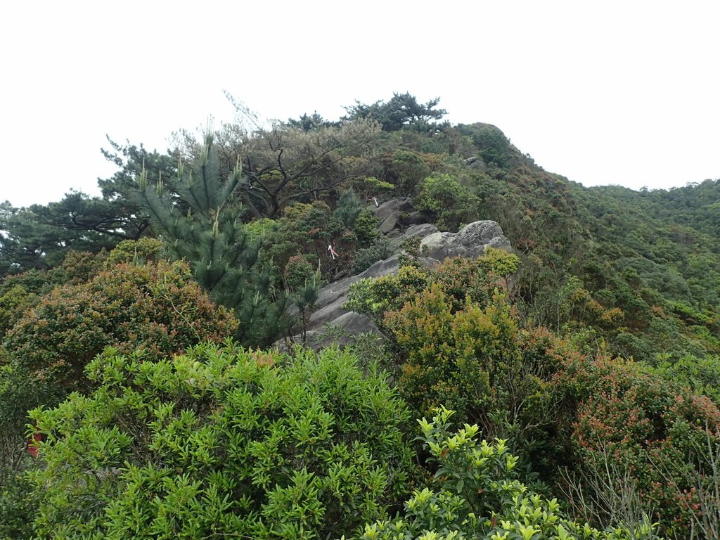 P3160063.JPG - 汐止  柯子林山  如意湖