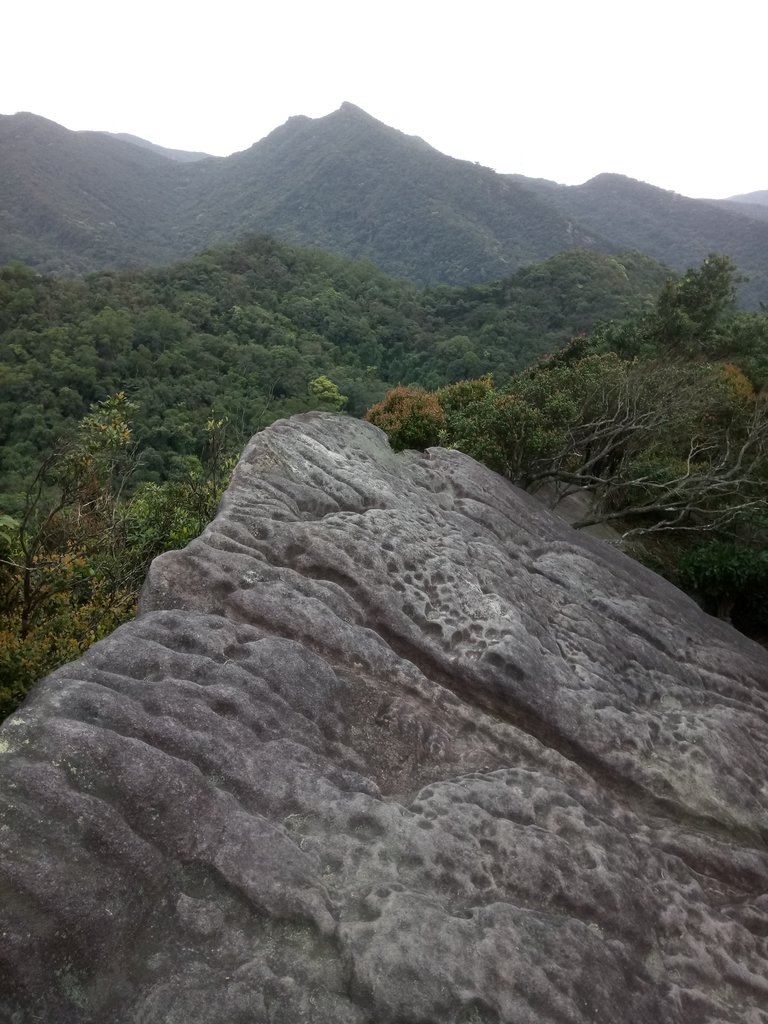 DSC_6998.JPG - 汐止  柯子林山  如意湖