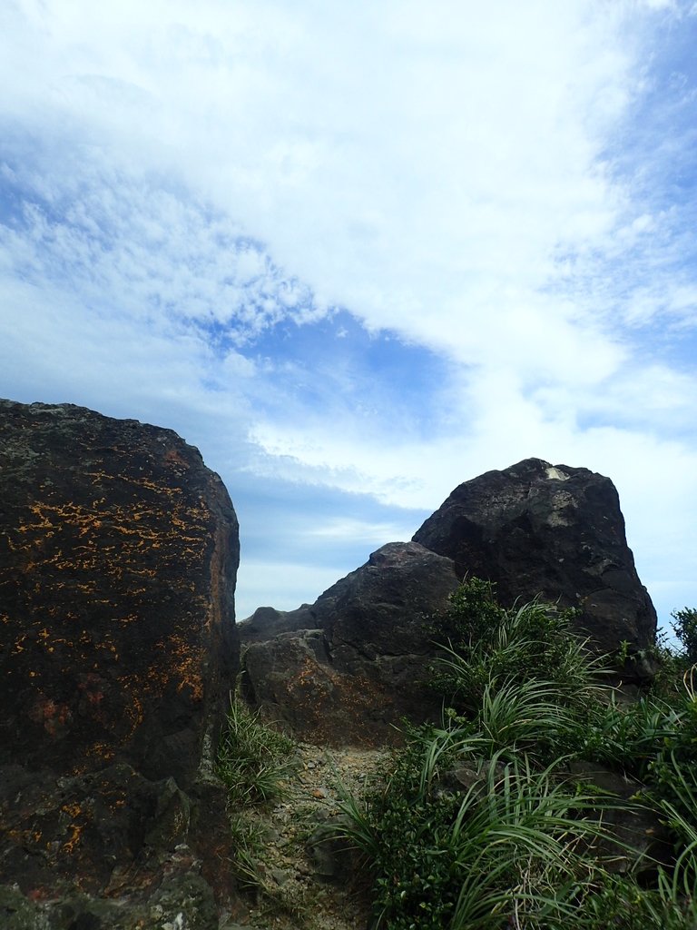 P6090275.JPG - 瑞芳  小金瓜山露頭