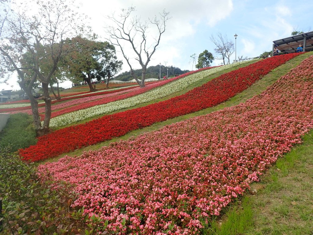 P2155432.JPG - 北投社  三層崎公園