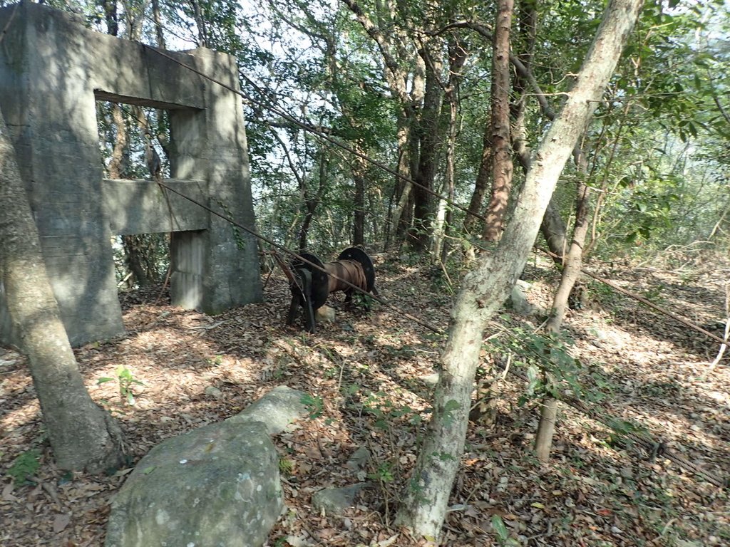 P3167362.JPG - 谷關七雄之  屋我尾山