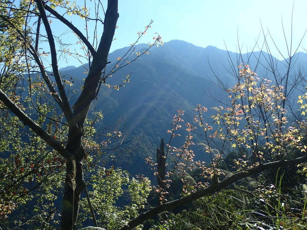 P2275888.JPG - 谷關七雄之  唐麻丹山