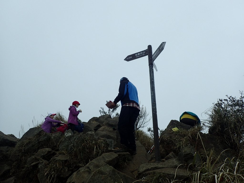 P2034892.JPG - 南庄  加里山