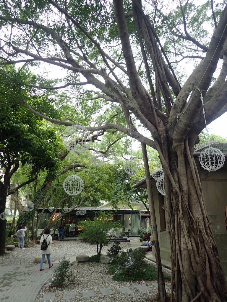 P4252061.JPG - 溫州街  大院子