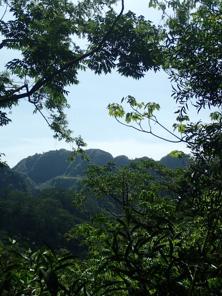 P4161407.JPG - 霧峰  青桐林生態園區