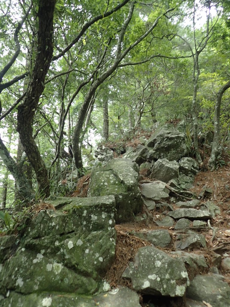 P6054128.JPG - 谷關七雄之  馬崙山  (上)