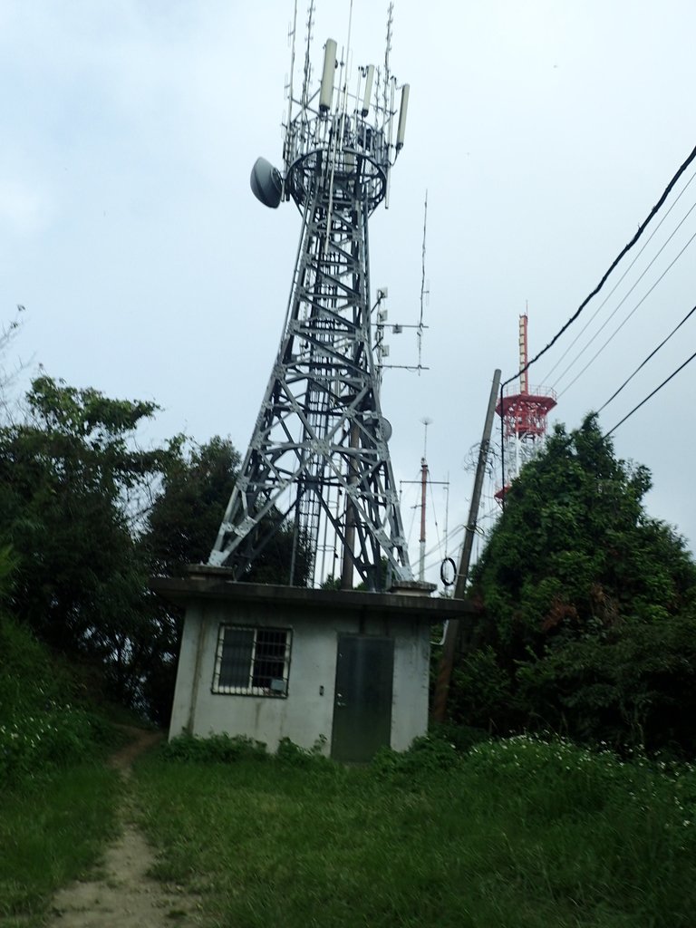 P9108416.JPG - 新竹  五指山登山步道