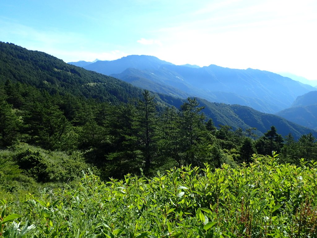 P7245939.JPG - 合歡山  北峰之美  (上)