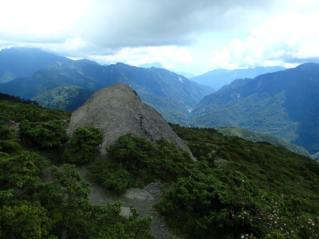 P7246036.JPG - 合歡山  北峰之美  (下)