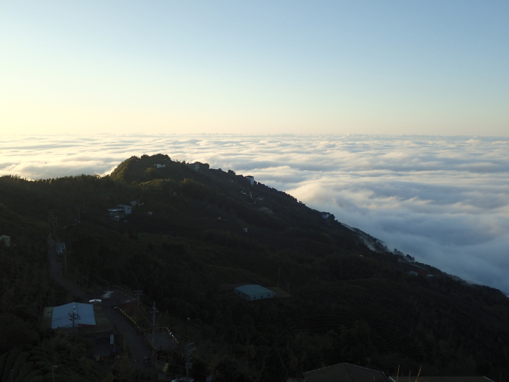 P1076411.JPG - 鹿谷  大崙山  觀霧亭之  暮光