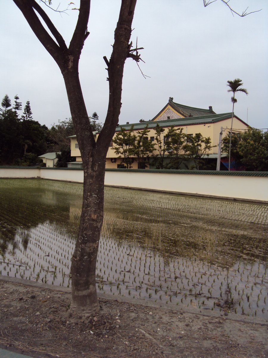 DSC07494.JPG - 溪湖  鳳山禪寺