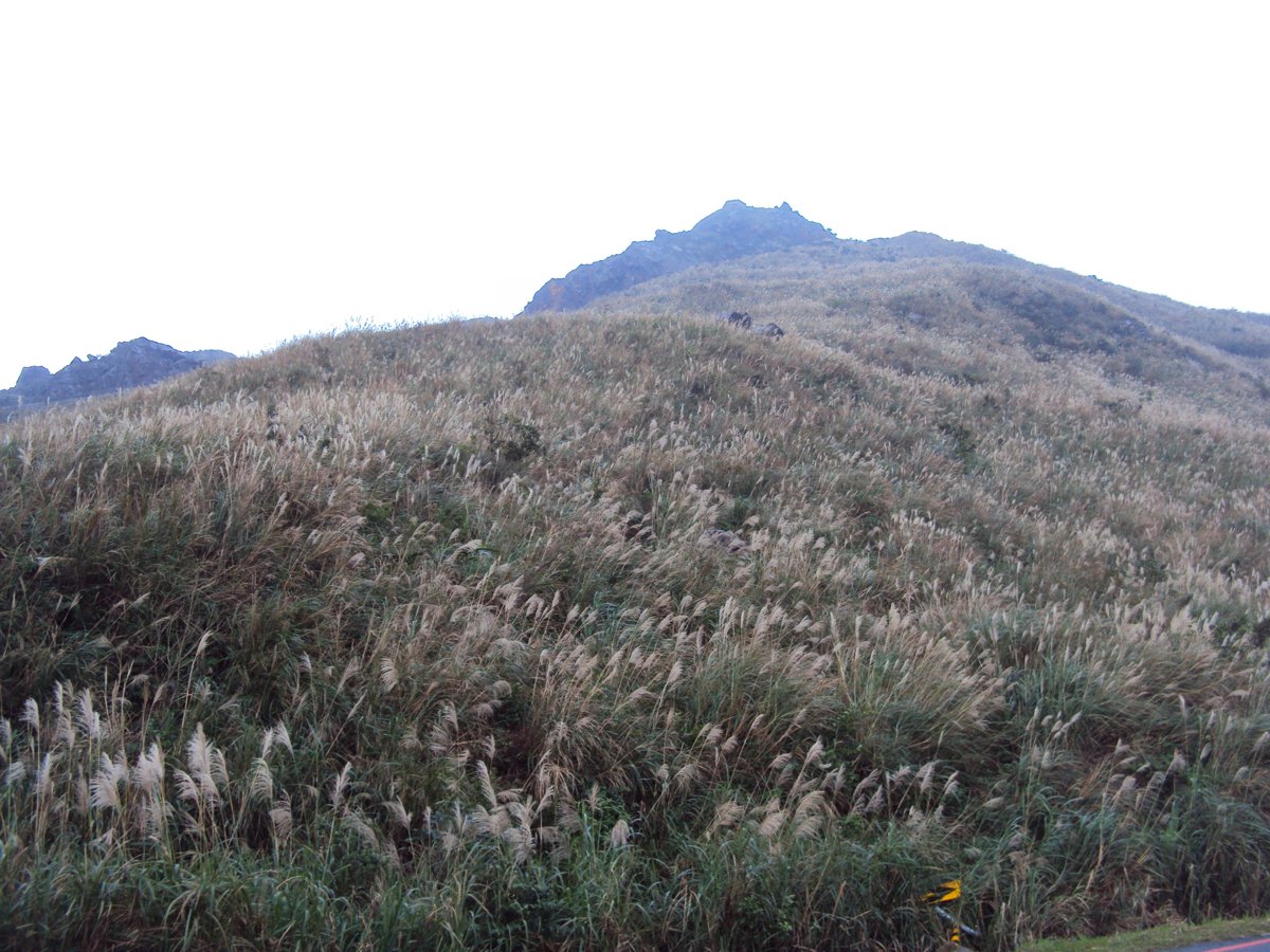 DSC03244.JPG - 無耳茶壺山產業道路