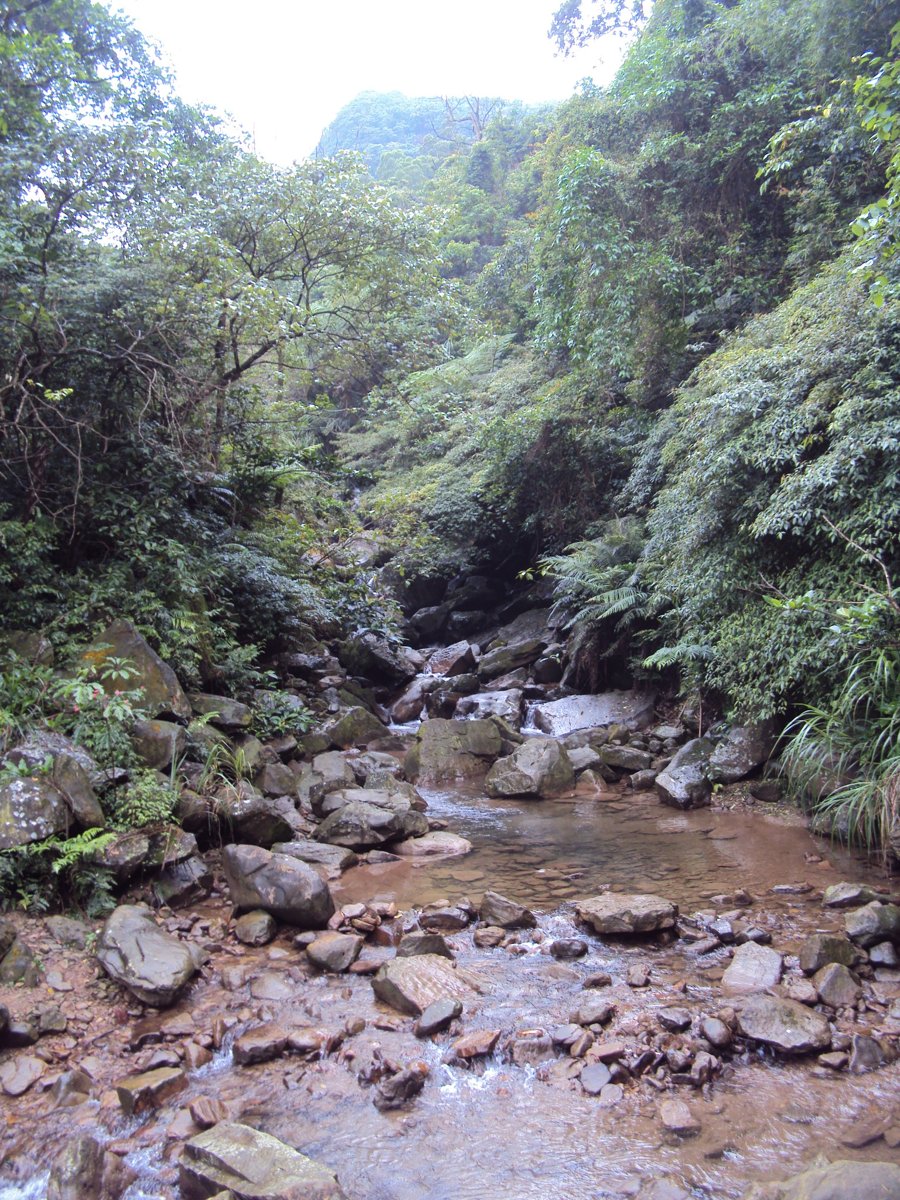 DSC07595.JPG - 基隆  暖東峽谷步道