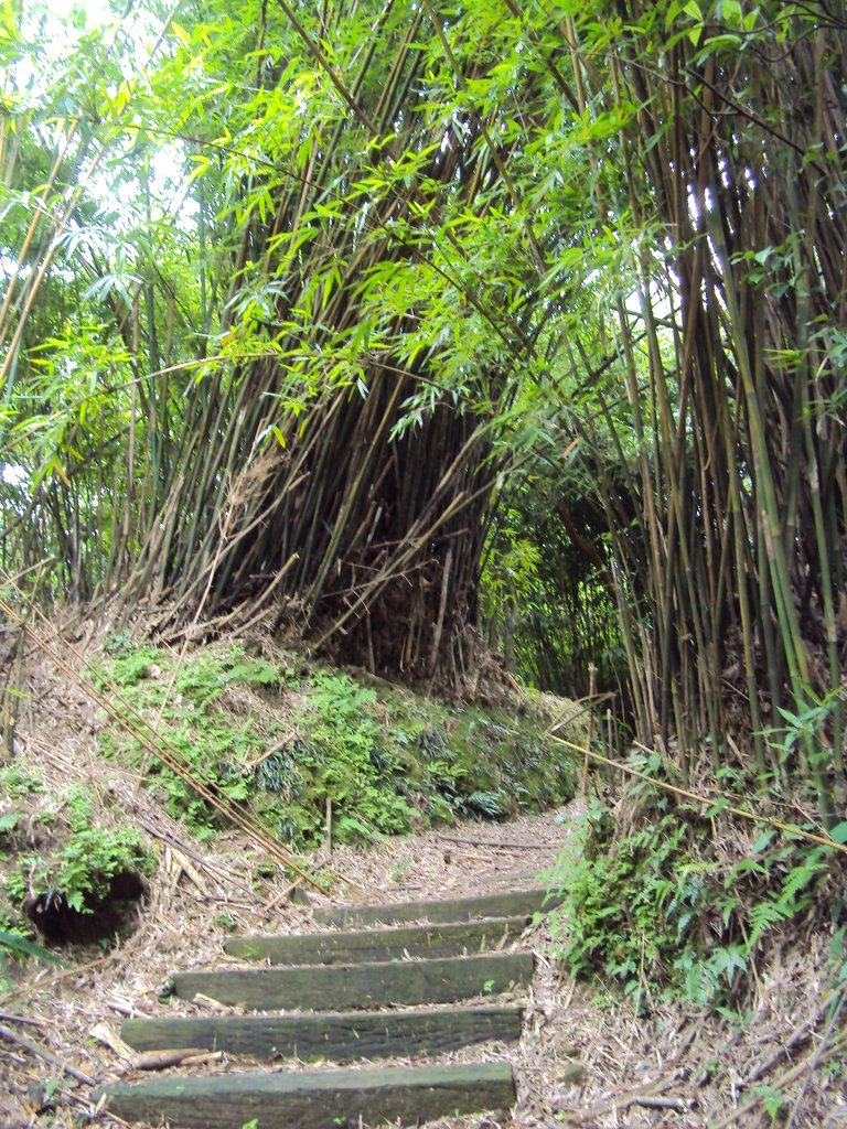 DSC07604.JPG - 瑞芳  粗坑口登山步道