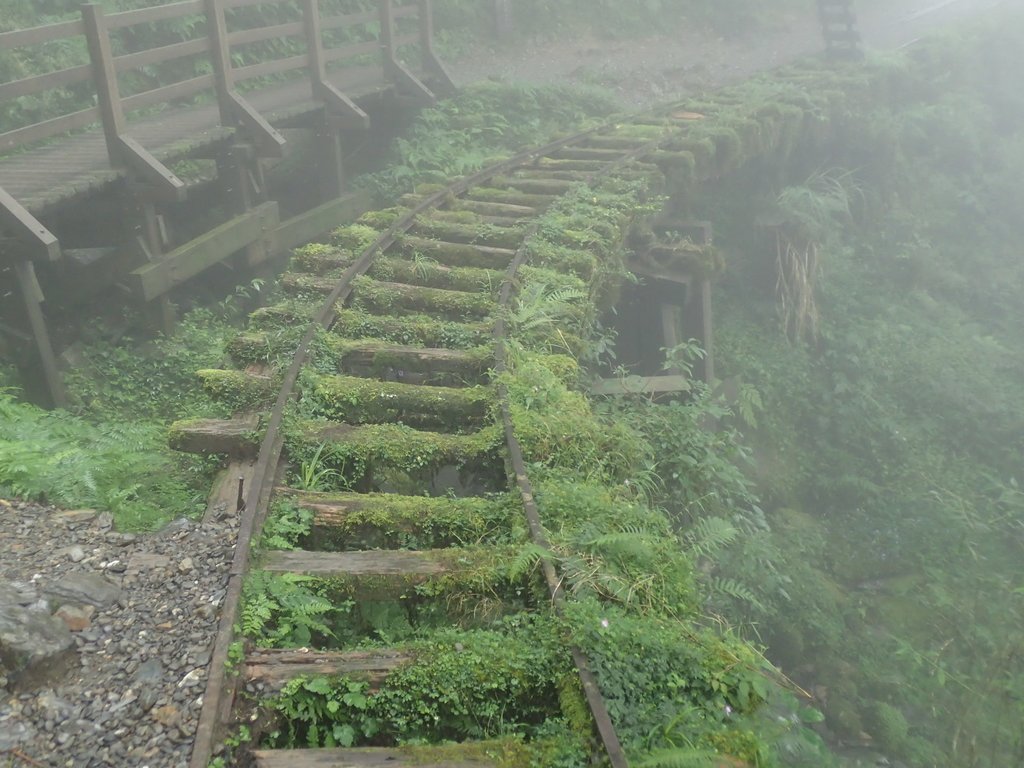 P8226801.JPG - 太平山 見晴懷古步道