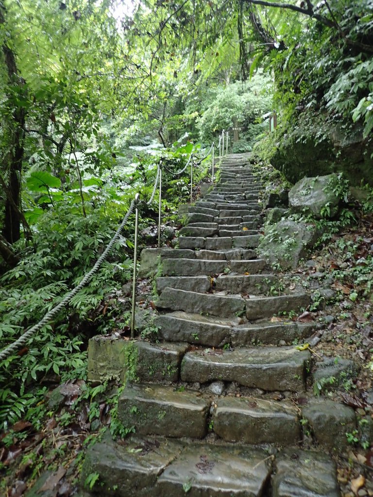 P1062076.JPG - 土城  天上山  登山步道