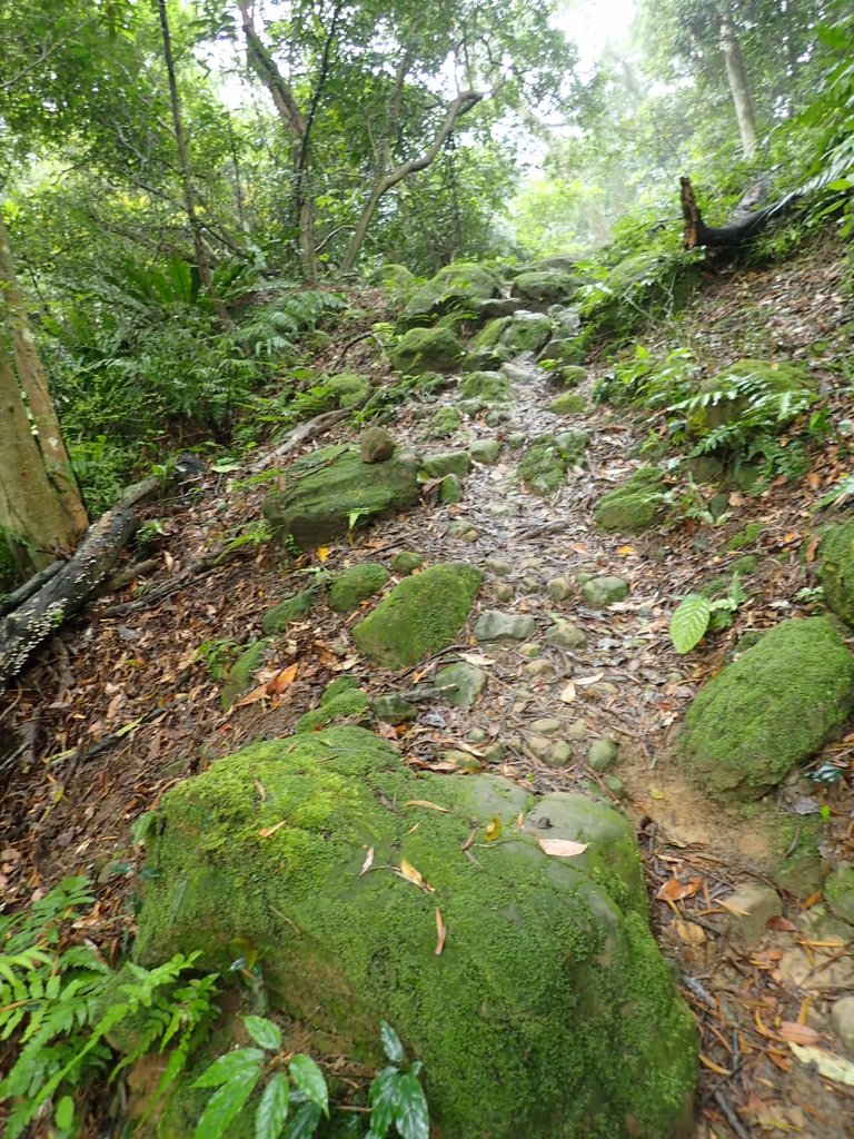 P4051081.JPG - 深坑  炮子崙登山步道