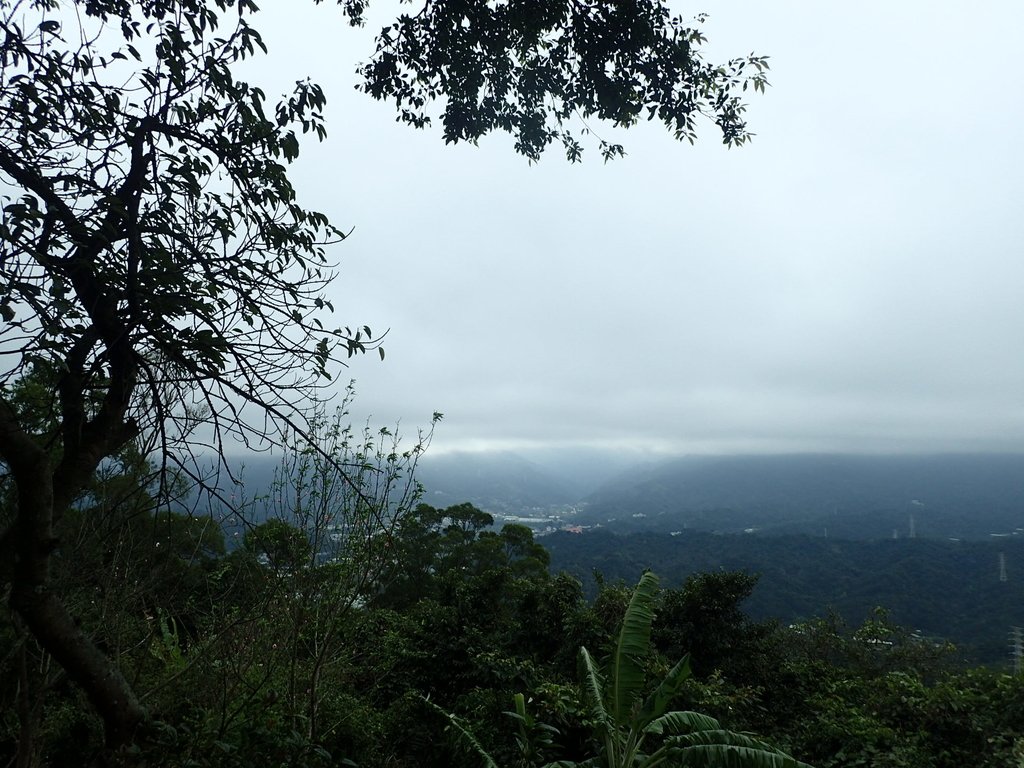 P2168010.JPG - 三峽  鳶山  (福德坑山)