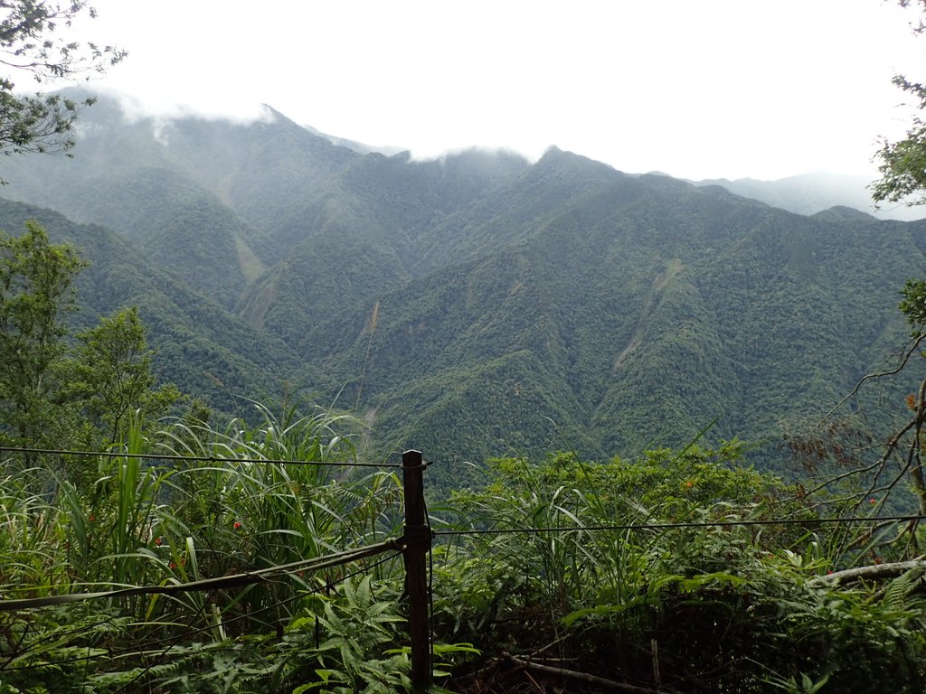 P8287295.JPG - 苗栗  泰安  虎山行