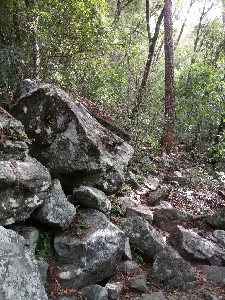 DSC_6448.JPG - 谷關七雄之  波津加山