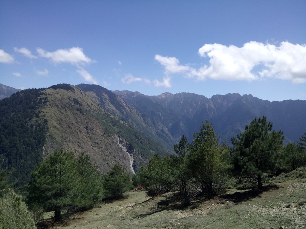 DSC_1714.JPG - 鹿林山  麟趾山步道  (02)