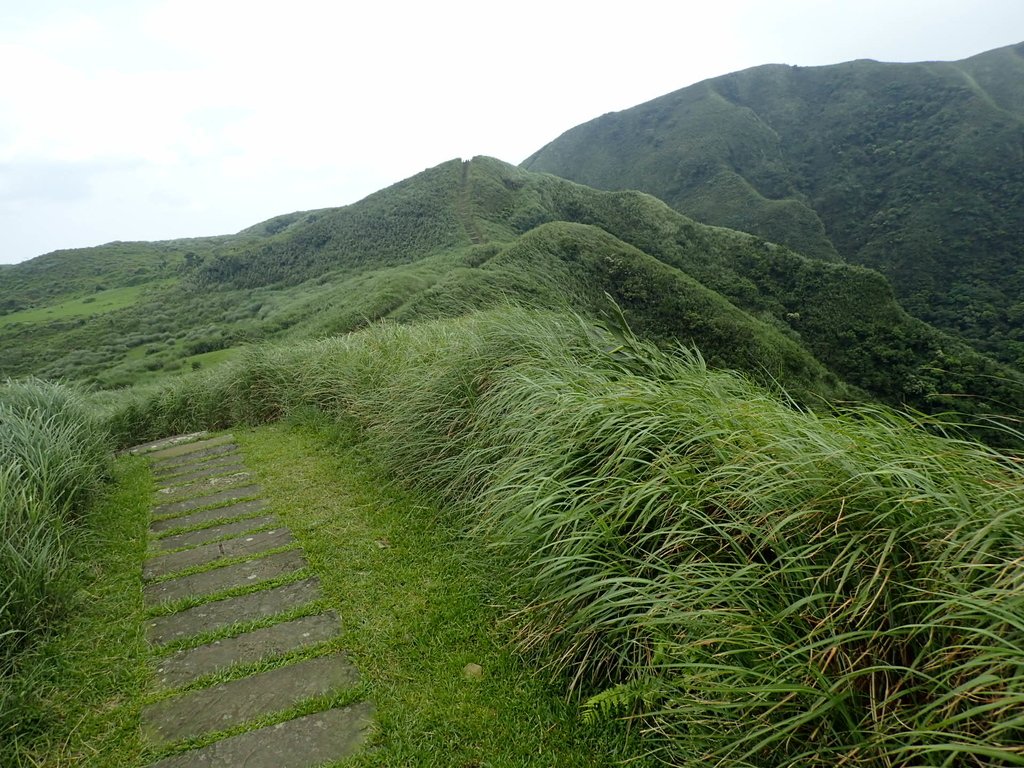 P5258754.JPG - 貢寮  桃源谷  灣坑頭山