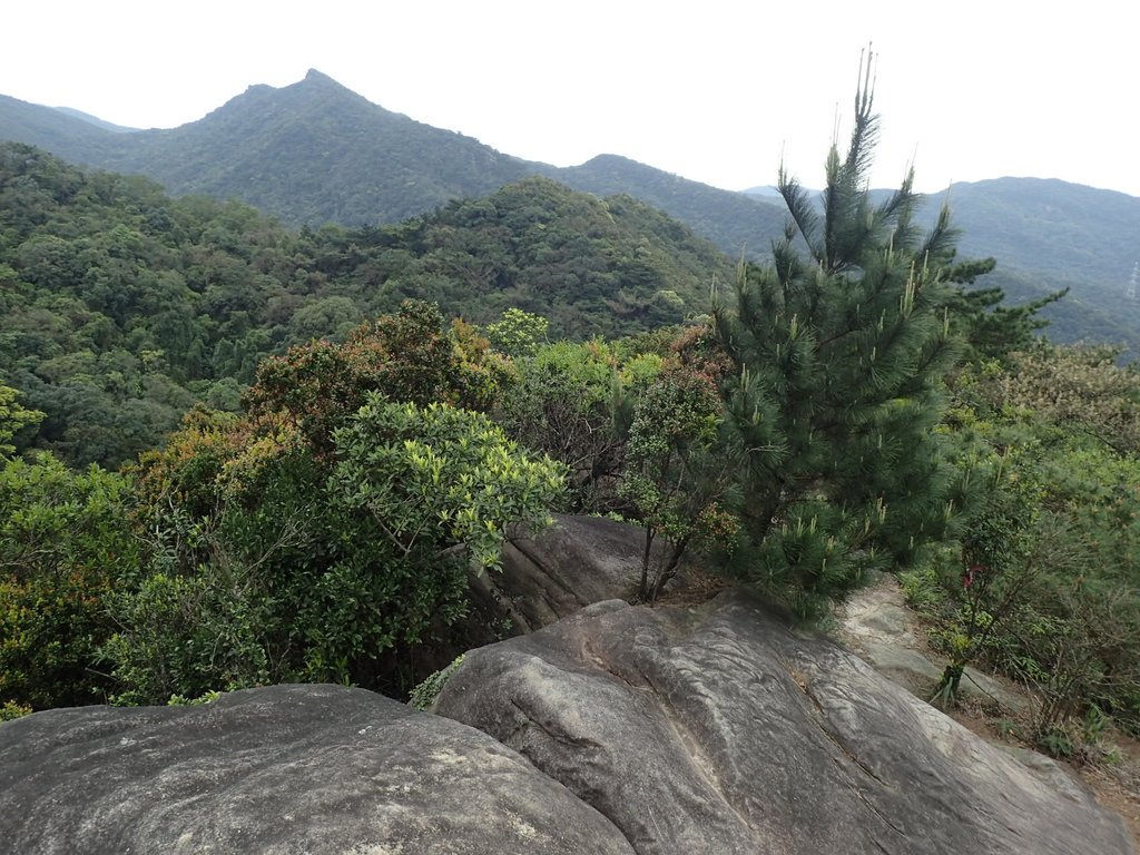 P3160069.JPG - 汐止  柯子林山  如意湖