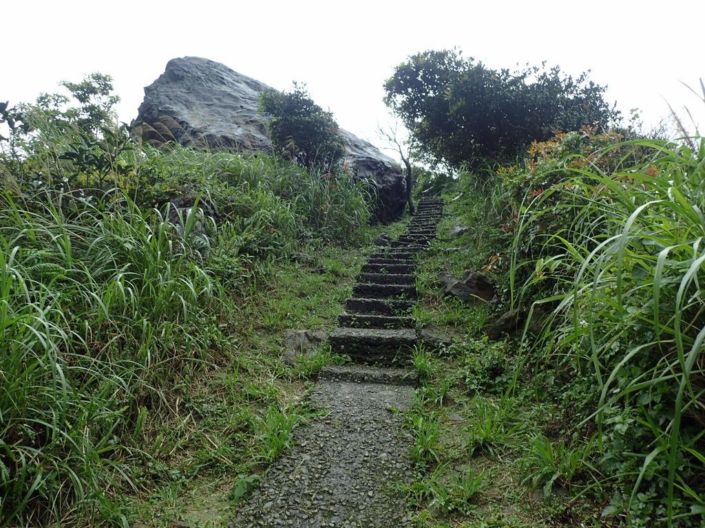 P3240528.JPG - 金瓜石之  內九份溪圳橋