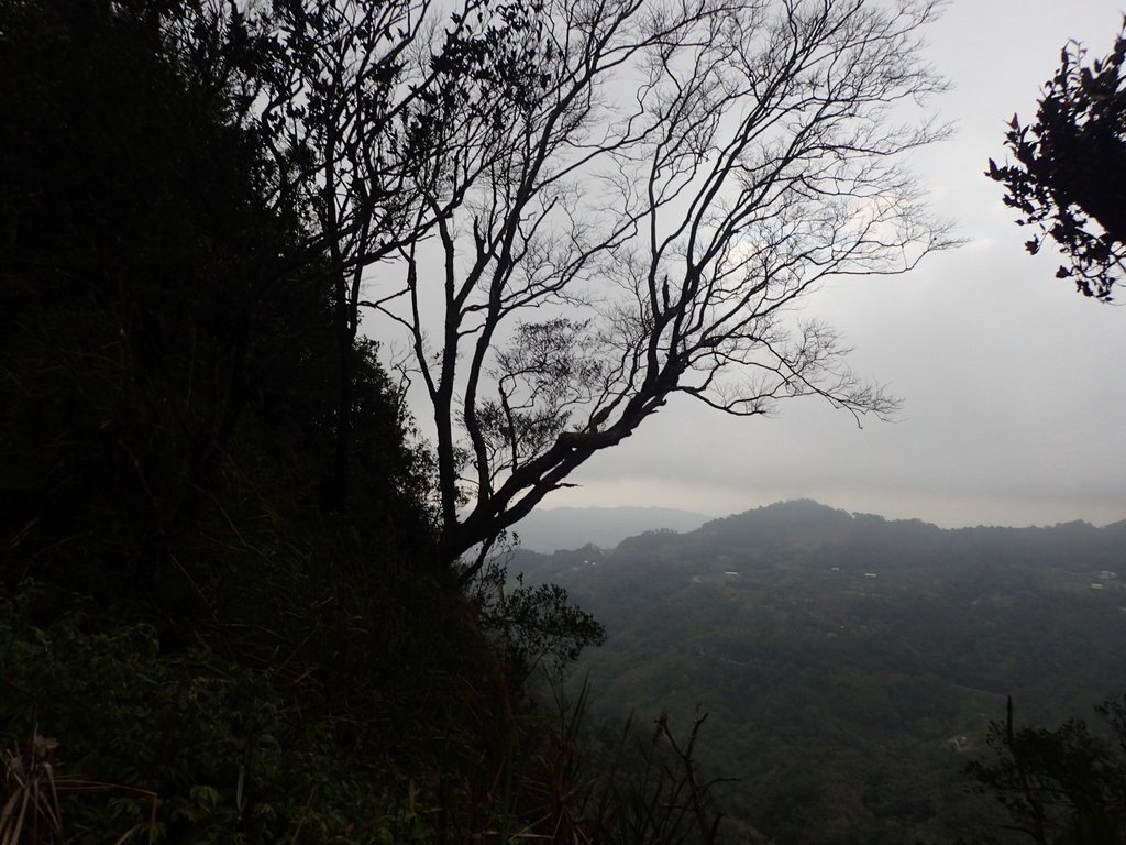 P1294569.JPG - 大湖  關刀山步道  (聖關段)