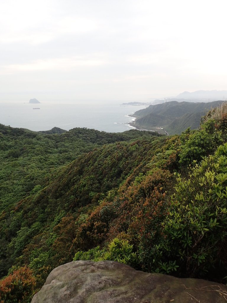 P3308210.JPG - 萬里  瑪鋉山  (望洋崖)