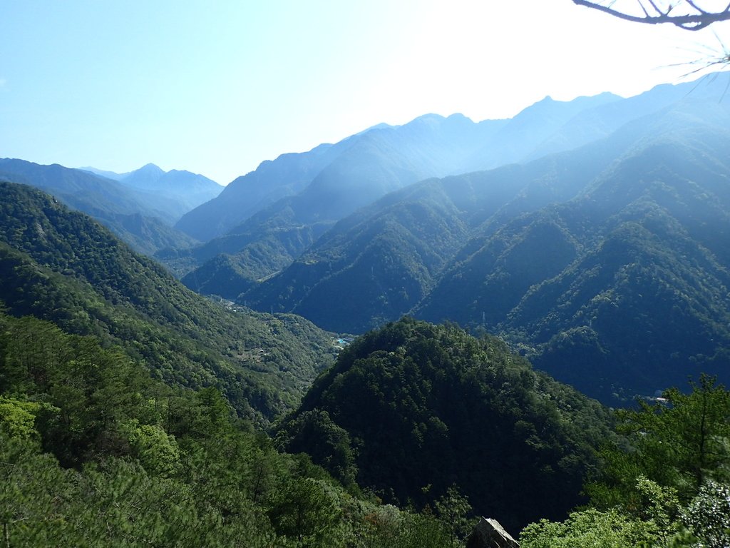 P3167179.JPG - 谷關  東卯山東南稜