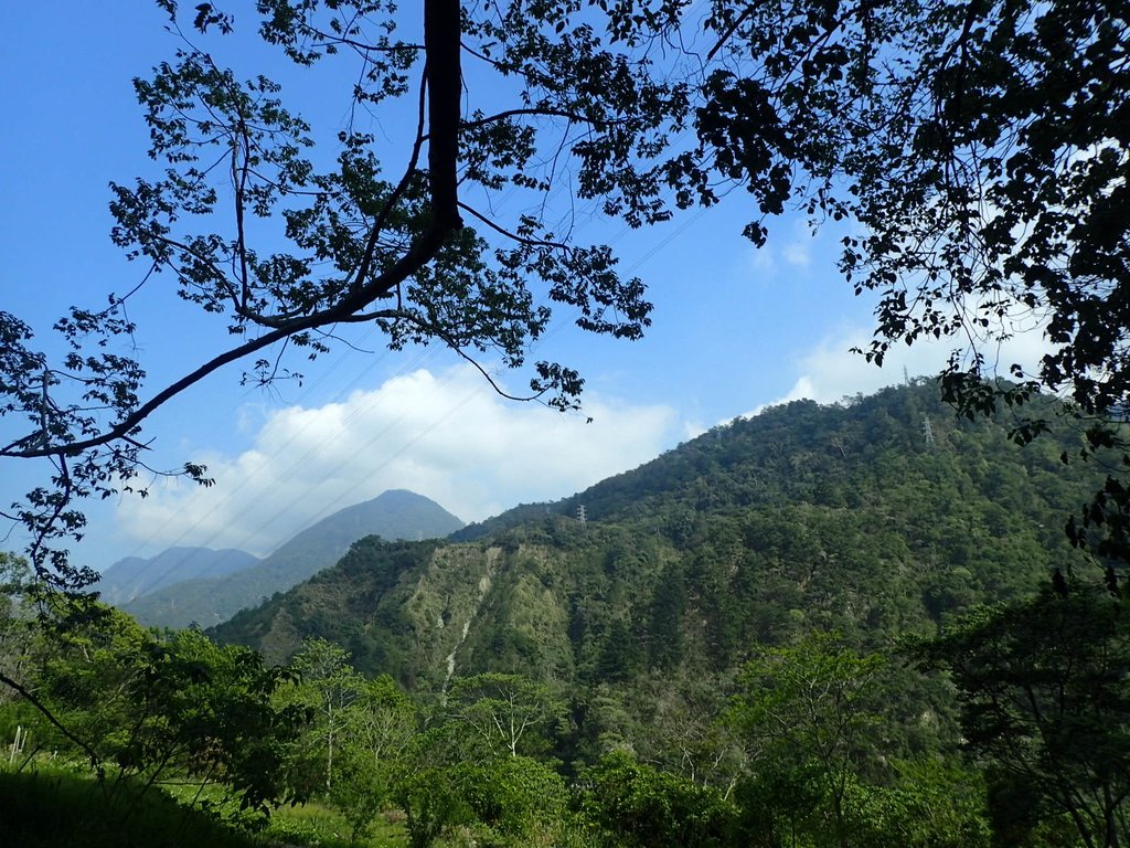 P3167368.JPG - 谷關七雄之  屋我尾山