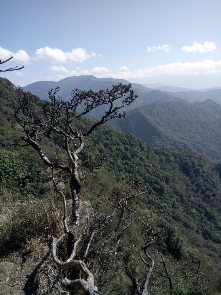 DSC_3656.JPG - 南庄  加里山