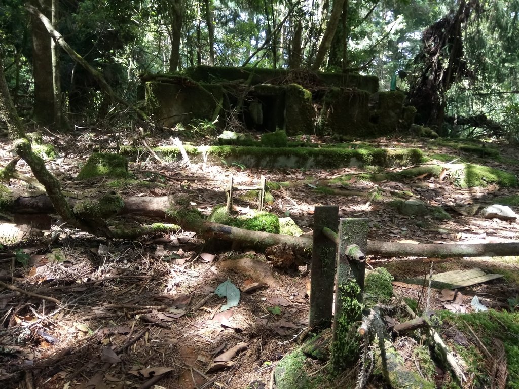 DSC_9935.JPG - 谷關七雄之  馬崙山  (下)