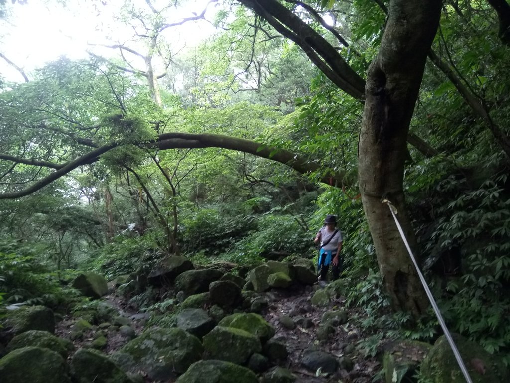 DSC_0689.JPG - 三芝  大屯溪古道