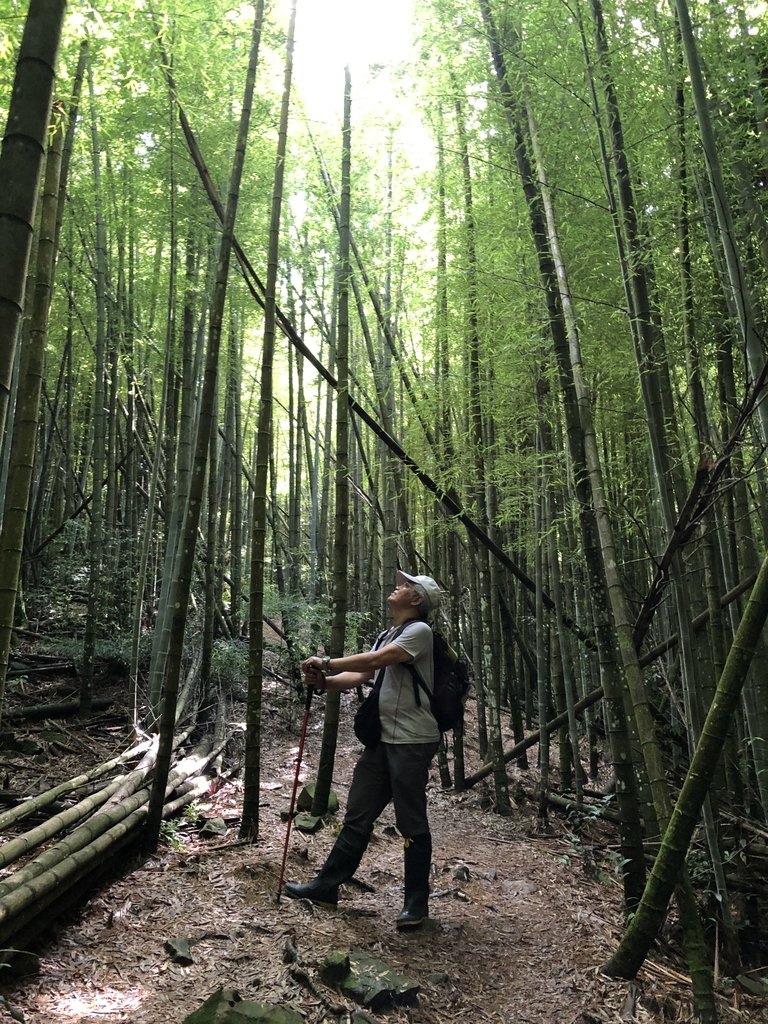 IMG_7661.JPG - 台中和平  長壽山登山步道  (中)