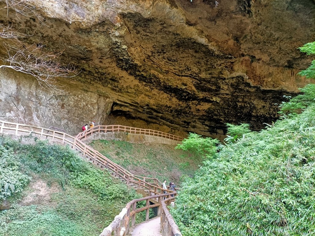 IMG20210205122344.jpg - 竹山  杉林溪森林遊樂園  路過