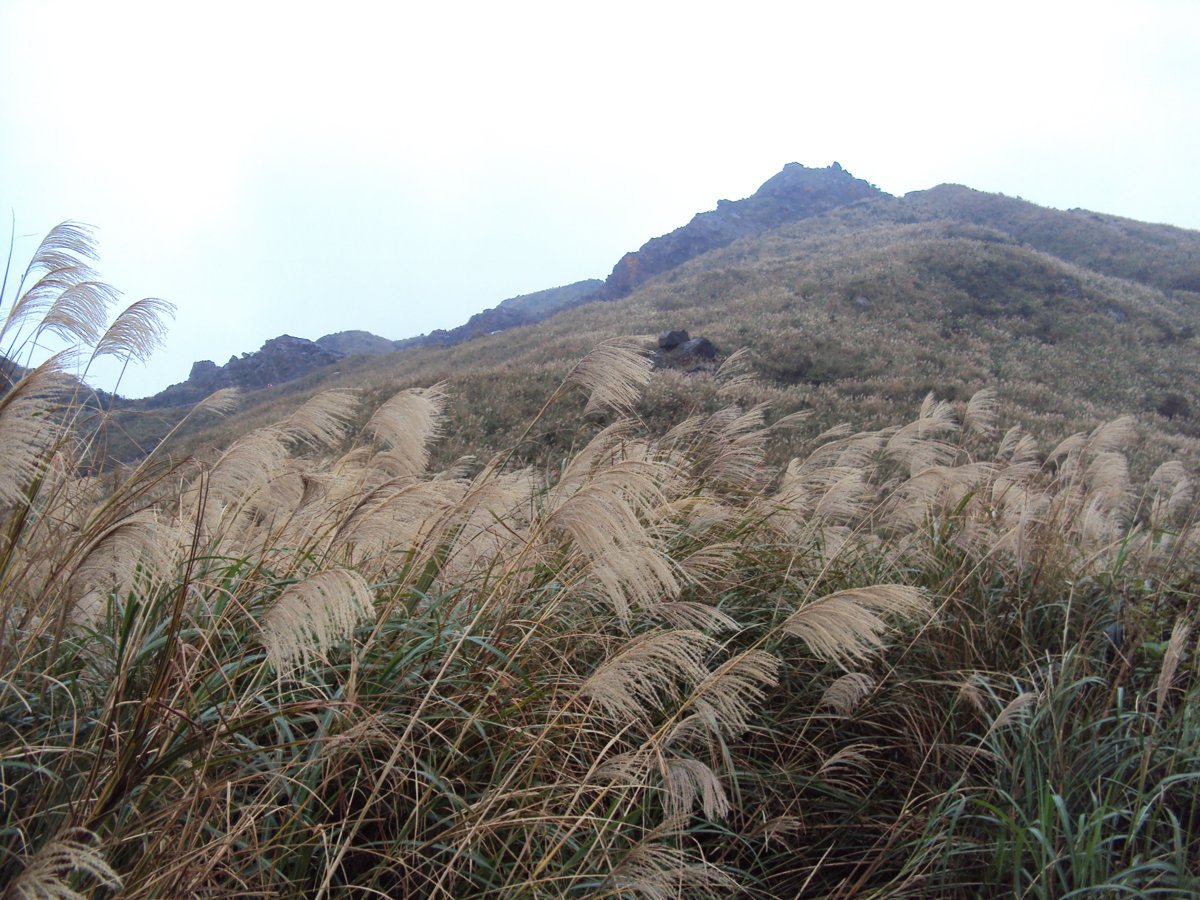 DSC03246.JPG - 無耳茶壺山產業道路