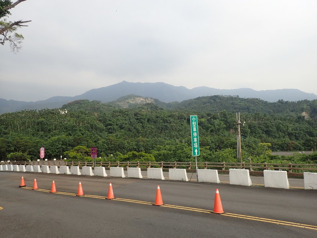 P8116518.JPG - 古坑  劍湖山  王子大飯店