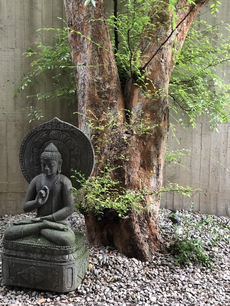 IMG_8166.JPG - 大里  菩薩寺