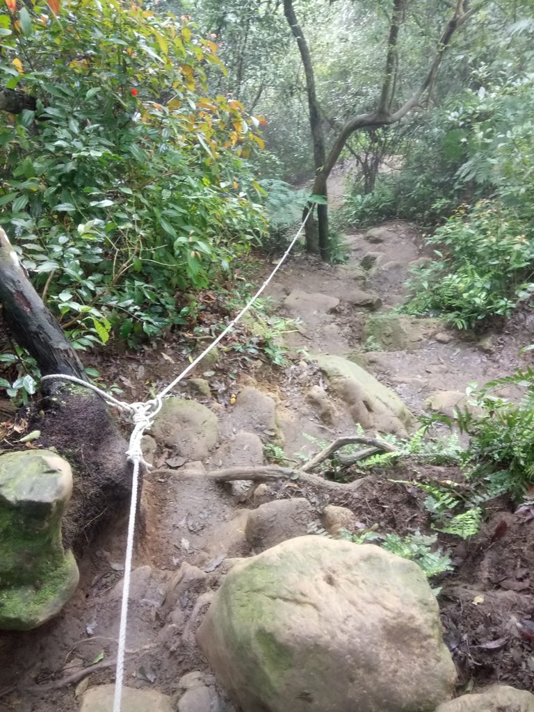 DSC_4892.JPG - 大溪  溪洲山登山步道