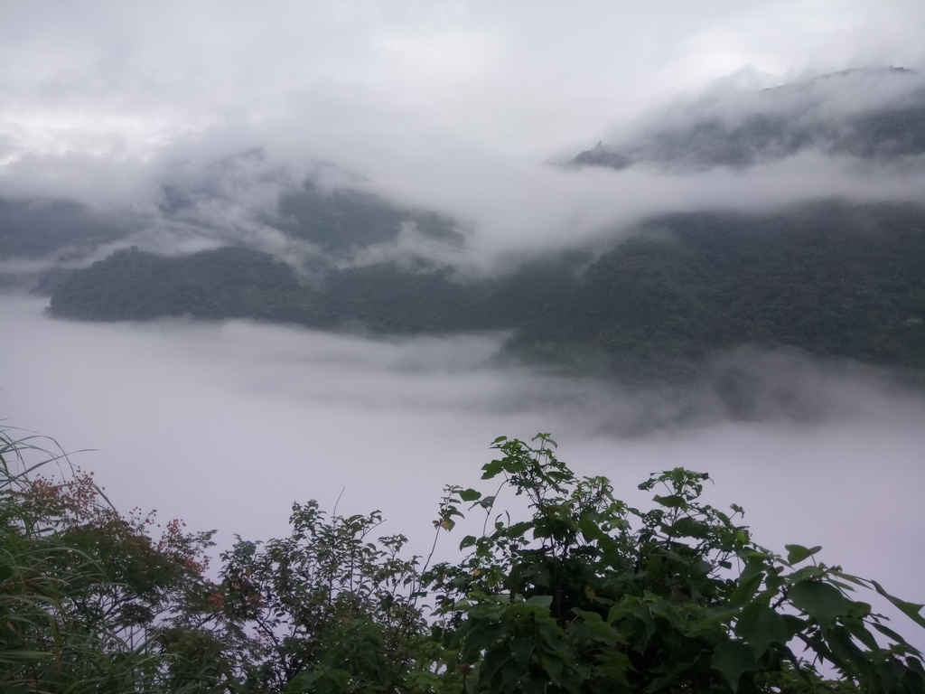 DSC_1135.JPG - 古坑  草嶺  雲山繚繞