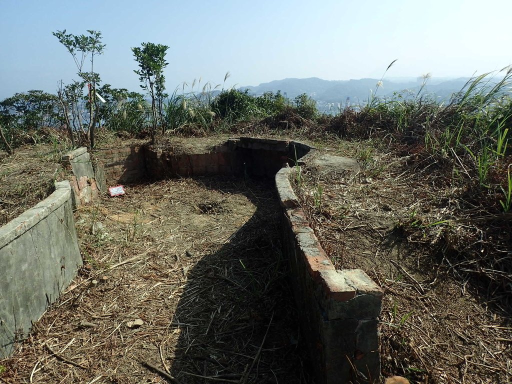 PB179545.JPG - 基隆  球子山(火號山)步道