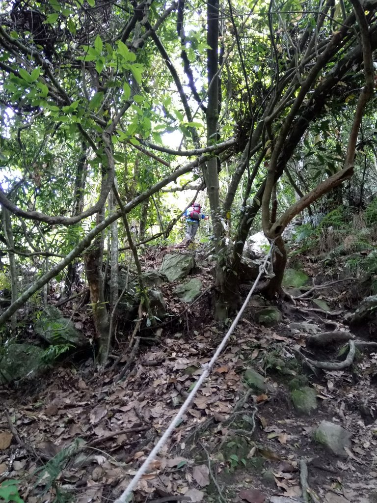 DSC_6449.JPG - 谷關七雄之  波津加山